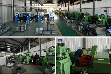 Shaanxi Flourish Industrial Co., Ltd. প্রস্তুতকারকের উৎপাদন লাইন