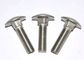 Round Head Square Neck Bolt , Carbon Steel / Stainless Steel Roundhead Bolt